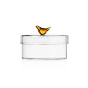Caixa Birds