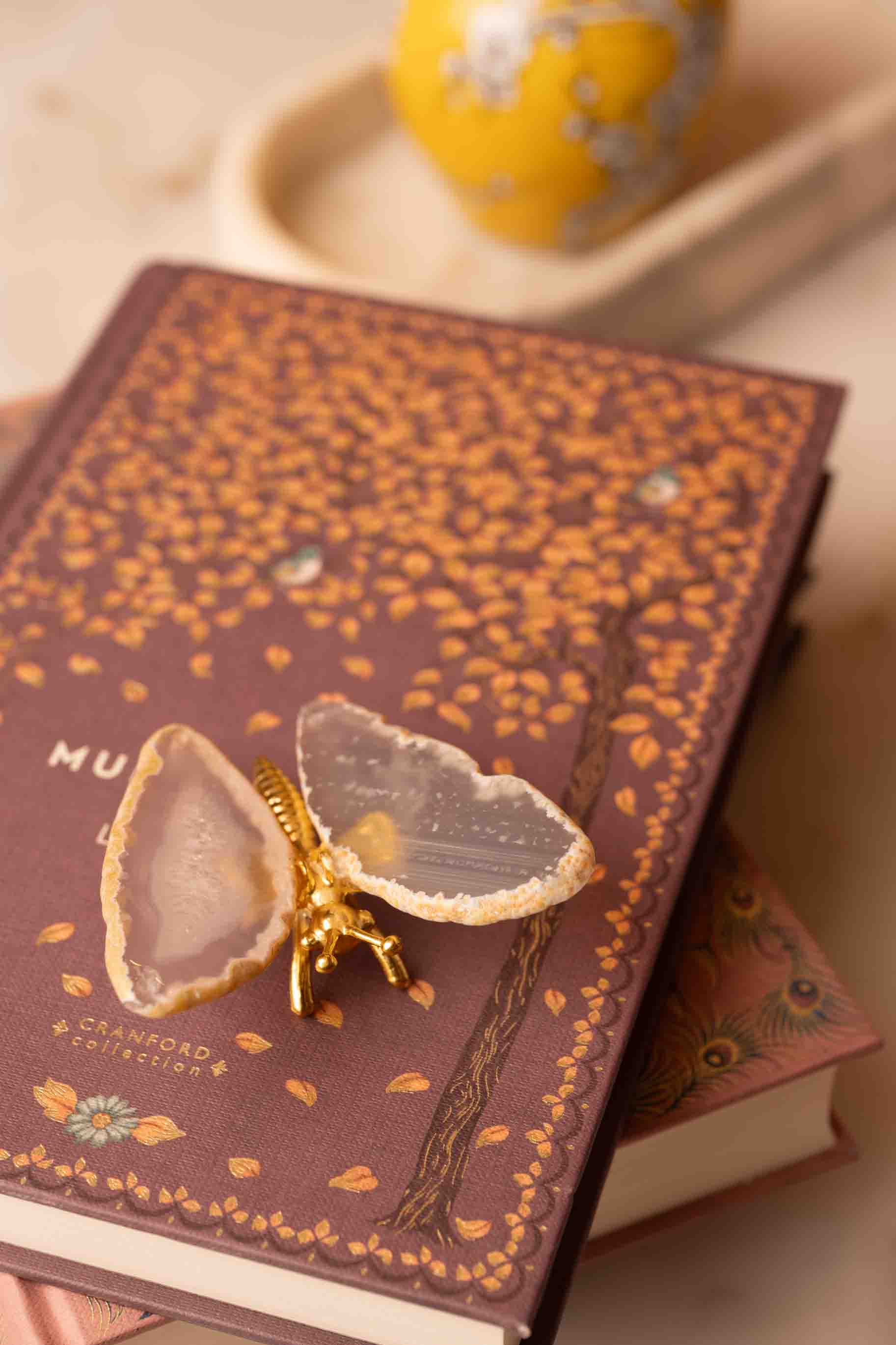 Little Butterfly