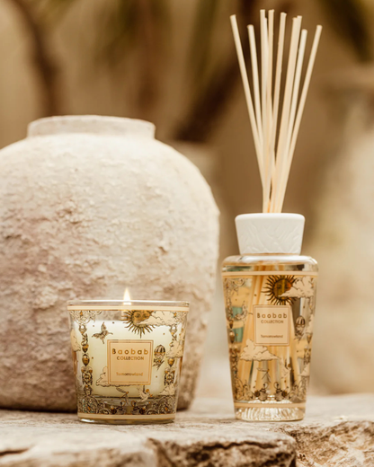 Gift Box Tomorrowland My First Baobab