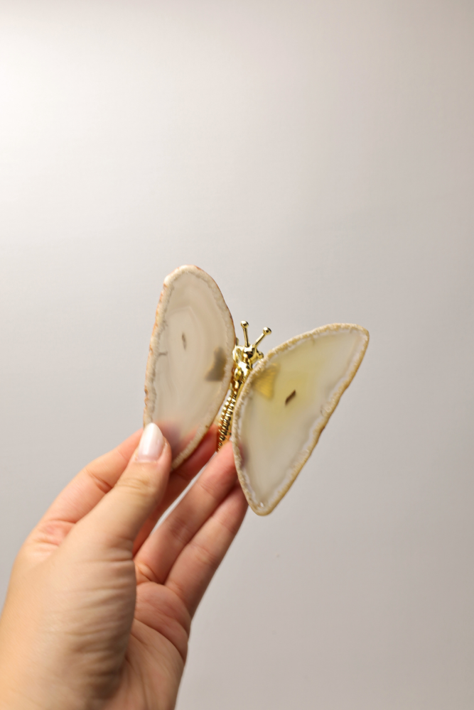 Pretty Buttefly L